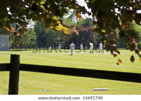 village green cricket match