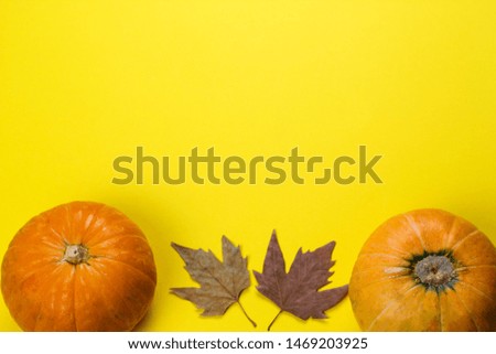 top view   pumpkins and maple leaves on a yellow background with  copy space, autumn background