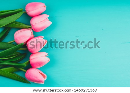 pink tulips with leaves on blue background