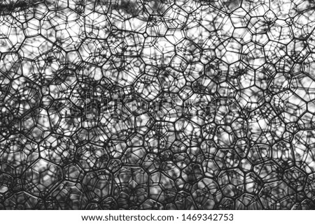 Water Abstract Background Macro Foam Black and White Picture,Bubble, Liquid, Circle, Macrophotography, Nature,Soapy Water Wallpaper,Bubble, Circle, Soap, Liquid, Wallpaper - Decor,