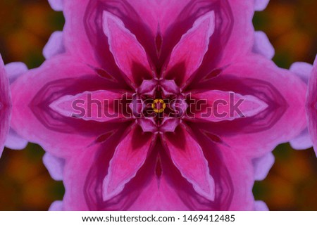 Symmetrical kaleidoscope image of red beautiful peony flower. Distorted optical filter. Psychedelic or hypnotic effect. Retro colors and patterns.