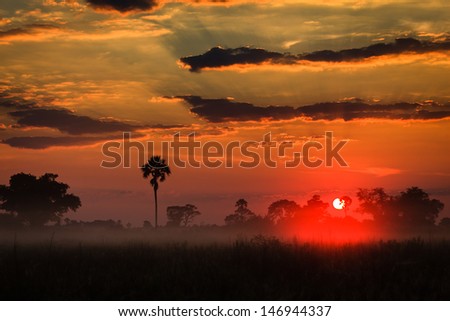 Orange sunrise layers clouds above misty Delta grasslands as in a painting in the Okavango Delta, Botswana, Africa