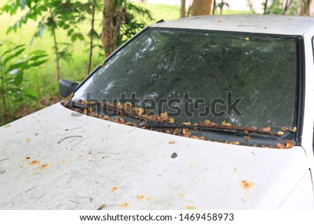 Old white car with stains. Dirt on the glass car Pollution, Surface dirt, Dust soil texture abstract background.