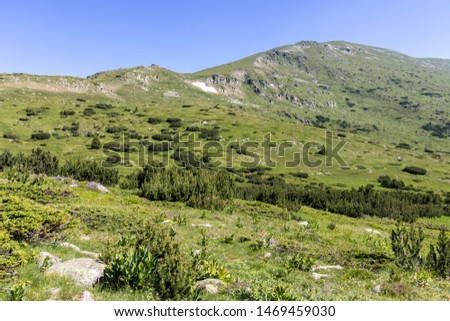 Summer landscape from hiking trail to Belmeken Peak, Rila mountain, Bulgaria