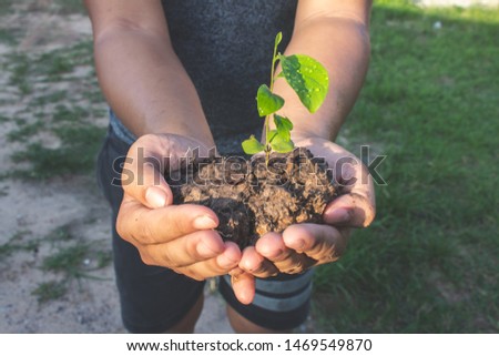 Young men are planting trees