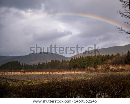 Rainbow in the sky,autumn villege