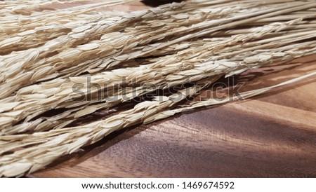 The rice is ready for harvest when the grain yellows and harvested by cutting the rice stalks