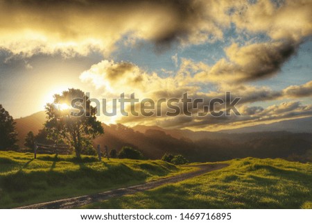 Sunset photography evening landscape yellow clouds in a blue sky as background country nature scenic view 