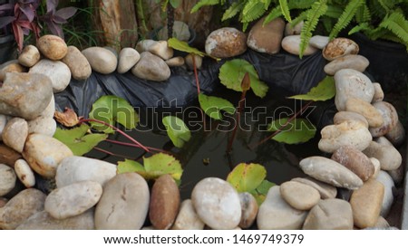 A small pond with boulders surrounded by water with lotus leaves