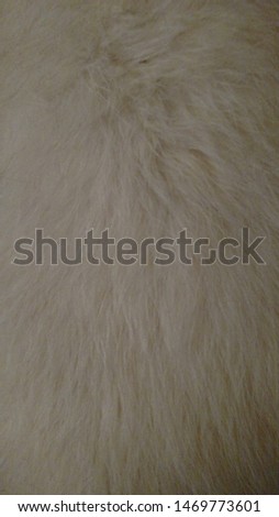 Close Up Picture Of Artic Fox Fur