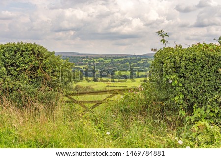 Country scene with old style wooden gate with hedges tall grasses and flowers