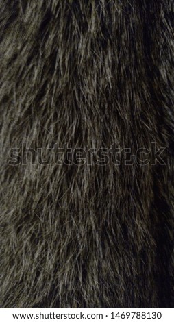 A Fox Fur Picture Up Close