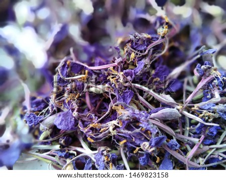 Close-up of dried herb flowers. 