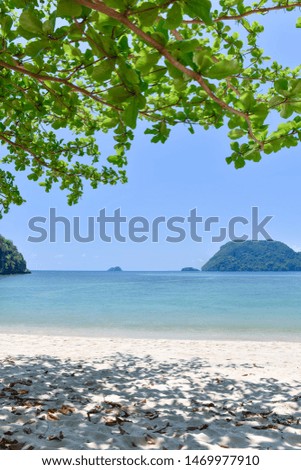 The sandy beach with the Malabar tree at Chumphon Marine National Park, Thailand.
