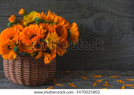 bouquet of bright medicinal herbs of calendula in a basket on an old wooden background with a copy of space