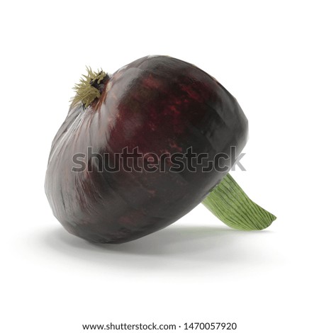 Red Onion Half Isolated on White Background 3D Illustration