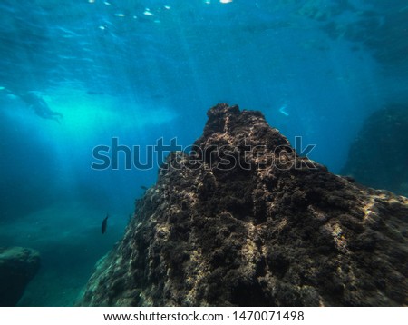 Underwater photos from blue sea 