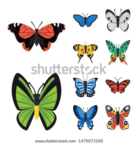 Vector illustration of nature and summer icon. Collection of nature and animal stock symbol for web.