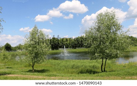 fountain in the middle of the lake on the background of green trees in the Park in the city
