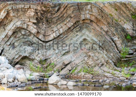 A geological fold in sedimentary rock. The fold is in the shape of a letter "M" in a cliff above a river. Many layers of sedimentary rock visible. Plants grow from the rick beside and below the fold.