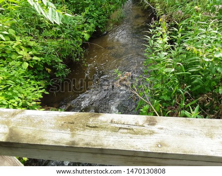Flowing water in stream with green plants on the sides as seen from the bridge