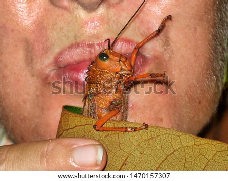 Close up of a woman kissing a large orange grasshopper