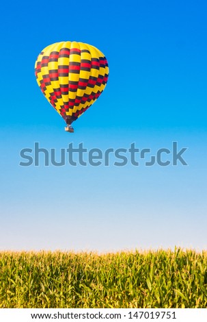 Hot air balloon flying over corn fields against blue sky