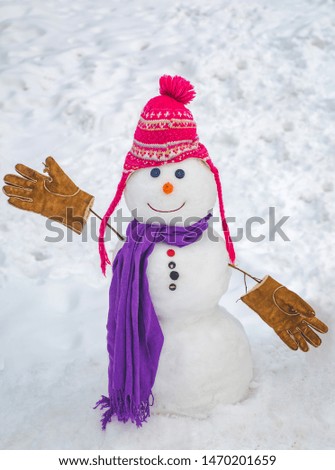 Merry Christmas and Happy new year. Snowmen. Happy smiling snow man on sunny winter day. Snow man in winter hat. Cute snowman in hat and scarf on snowy field