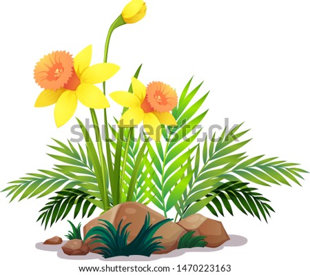 Yellow daffodils and ferns on white background illustration