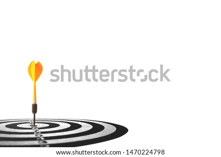 target dart with arrow isolated on white background ,image for target marketing concept .
