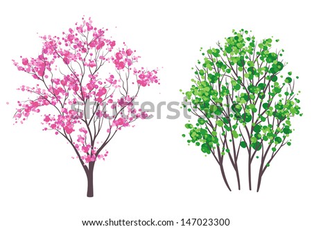 Vector illustration: spring and summer trees, isolated on white