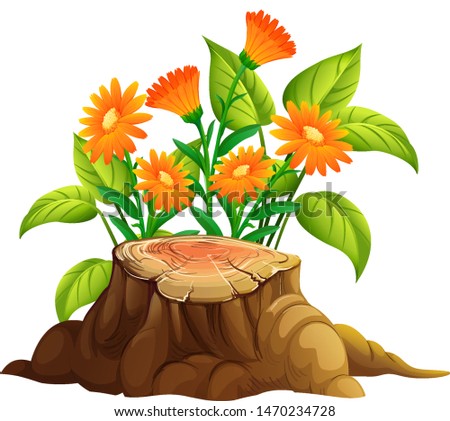 Flowers and stump wood on white background illustration