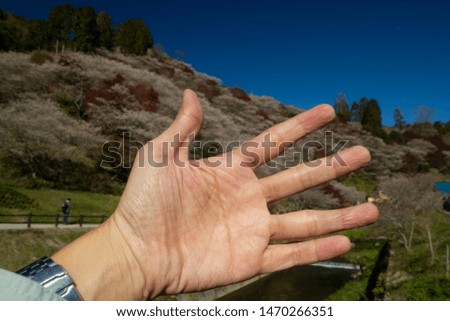 Focus on the hand that is obscuring the beautiful nature.