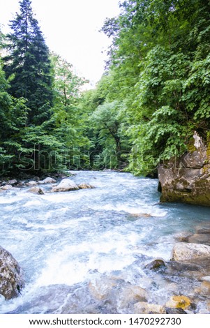 A mountain river flows through a green forest along the mountains. Abkhazia