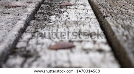 Texture of bench wood photo