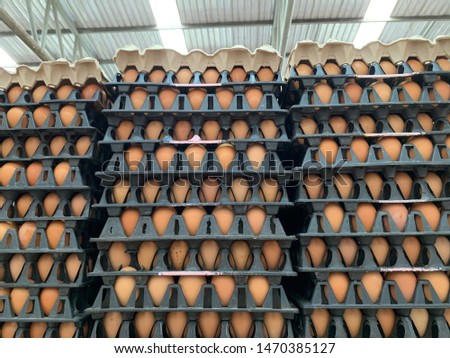 Organic Fresh chicken eggs placed in a panel