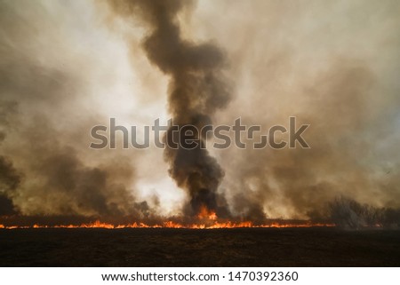 Fires in the Russian forest, Transbaikal forest in fire, burning of forests Royalty-Free Stock Photo #1470392360
