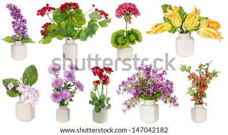 Minimalistic  floral bouquets  in  ceramic pots  set number two on white background. Full-size of all images you can find in my portfolio