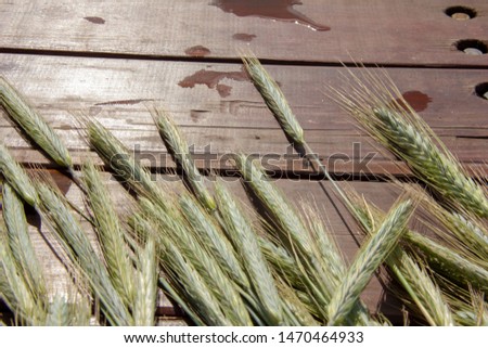 Ears of rye lie on wooden boards. Beautiful natural background. Harvest season. Substrate. blank for postcards.