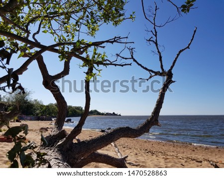 Beautiful view of the sandy beach and the Gulf of Finland of St. Petersburg on a Sunny cloudless summer day
