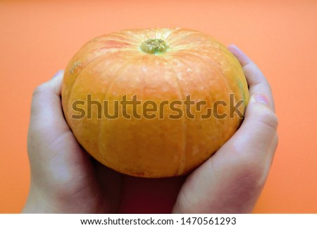Close-up of a pumpkin, which is held in the hands on a bright orange background