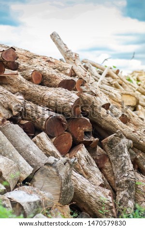Cut timber into pieces to making firewood,timbers wood background