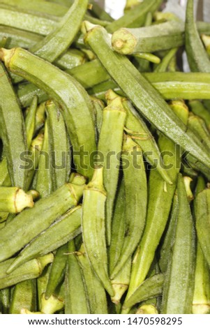 LADYFINGER it is a picture of ladyfinger in rajasthan (INDIA). It called  BINDI in local language. it is  veg vegetable .