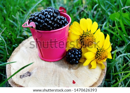 The blackberry is an edible fruit produced by many species in the genus Rubus in the family Rosaceae