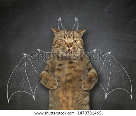 The cat is standing near the blackboard on which are painted the wings of a bat and horns. He wants to be scary.