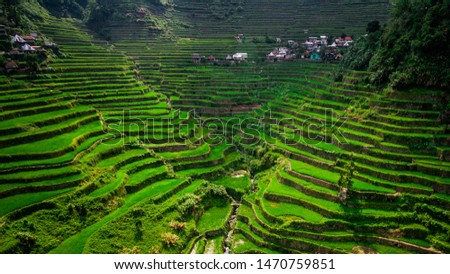 Aerial view of Batad Rice Terraces in Ifugao Province, Luzon Island, Philippines. Royalty-Free Stock Photo #1470759851