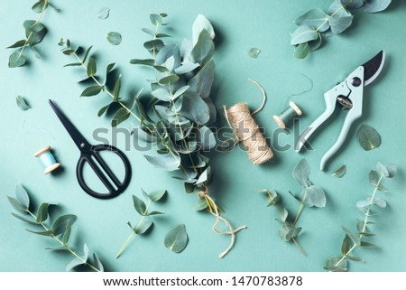Eucalyptus bouquet creating with baby blue eucalyptus branches over green background. Florist work concept. Top view. Flat lay