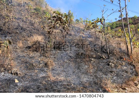 Forest fires in the roadside mountains, burning leaves, and blazing fire. in Pracimantoro, Central Java, Indonesia