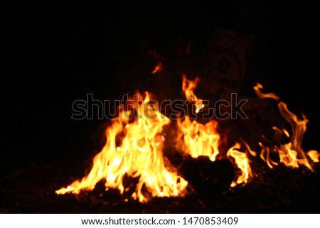Burning wood at night The fire in the natural forest, flames and sparks on a dark background Fuel, energy and energy