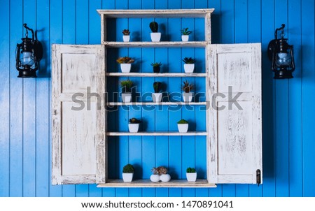 the pastel blue wooden wall decorated with small plants on the white shelves with the frame as the window open